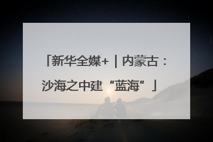 新华全媒+｜内蒙古：沙海之中建“蓝海”